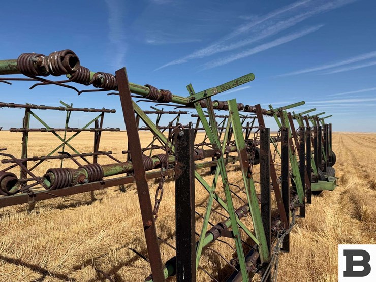 herman-80'-spring-tine-harrow-image-13