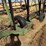 herman-80'-spring-tine-harrow-image-17