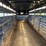 1995-trav-a-long-stock-trailer---ellensburg,-wa-image-21