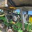 john-deere-1770-image-37