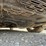 #47174-•-*inop-2008-toyota-avalon-sedan-4t1bk36b78u318274-inv#47174-image-36