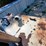 #26283-•-morlift-1000b-log-picker-trailer-image-62