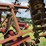 case-ih-21-image-8