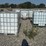 #50011-•-lot-of-(2)-poly-tank-w/cage-inv#50011-image-2