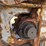 2010-trout-river-quad/a-live-bottom-trailer-2s9ps8-image-19