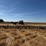 calkins-40'-field-cultivator-image-4