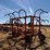 allis-chalmer-800-chisel-plow-image-6