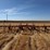 allis-chalmer-800-chisel-plow-image-8