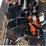 #17-•-wolverine-skid-steer-auger-set-image-2