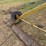 landplane-image-20