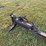 3pt-hydraulic-wood-splitter---ellensburg,-wa-image-7