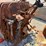 #52917-•-*inop-tractor-inv#52917-image-23
