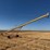 westfield-80-51-grain-auger-image-2