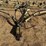 love-rod-weeders-image-10