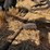 love-rod-weeders-image-24