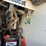 2019-bobcat-mt85-image-13