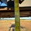 steel-seed-hopper-box/bag-filler-image-6