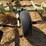 love-rod-weeders-image-30