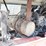 2014-takeuchi-tb290-image-25