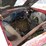 1965-chevrolet-impala-2dr-ht-image-8