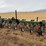 lorenz-row-crop-cultivator-16'-image-1