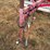 agriweld-ww-30-pull-type-weed-wiper-30'-image-16