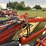 new-holland-216-image-15