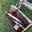sears-loader-image-6