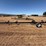 custom-rigid-header-transport-cart-image-2