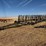 herman-80'-spring-tine-harrow-image-1