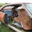 1965-chevrolet-impala-for-parts-image-5