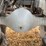 custom-tank-image-32