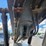 terex-th0805a-image-47