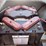 parts-only-2010-yamaha-ydre3-2-passenger-electric-image-12