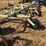 love-rod-weeders-image-29
