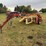 new-holland-216-image-3