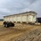 1995-king-load-image-10