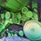 2000-john-deere-9650-sts-image-61