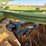 john-deere-twin-offset-disc-image-36