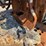 #52917-•-*inop-tractor-inv#52917-image-59