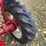 japanese-international-676-diesel-mfwa-image-91
