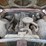 1966-chevrolet-biscayne-4dr-sedan-image-7
