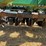 2003-john-deere-1590-image-15