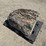 large-crinoid-fossil-rock-from-limestone-quarry-image-2