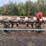 monosem-6-row-vacuum-planter--dnr-image-4
