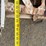 western-trailers-quadruple-axle-trailer-frame-image-19