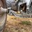 custom-tank-image-45