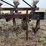 monosem-6-row-vacuum-planter--dnr-image-12