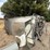 autec-light-vehicle-wash-image-19