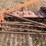 lelyterra-15'-power-harrow-image-16
